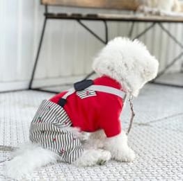 犬服　ハンドメイド　ラグランタンクトップグリーン km813t-01.jpg