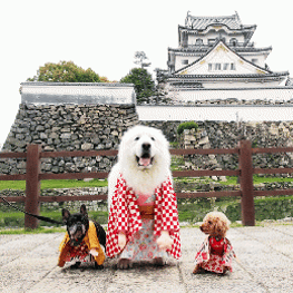 姫様きぐるみコスチューム