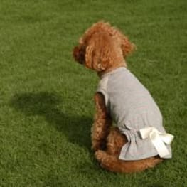 ラグランタンク・ラグランワンピ