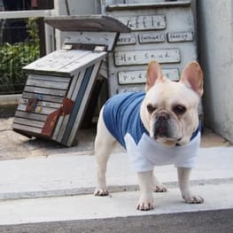ベーシックタンクトップ&Tシャツ / 愛犬のための犬服の