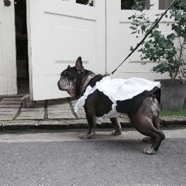 エプロンスカート