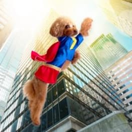 ヒーローコスチューム・女の子用