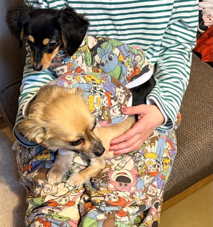 コテちゅさんの作品