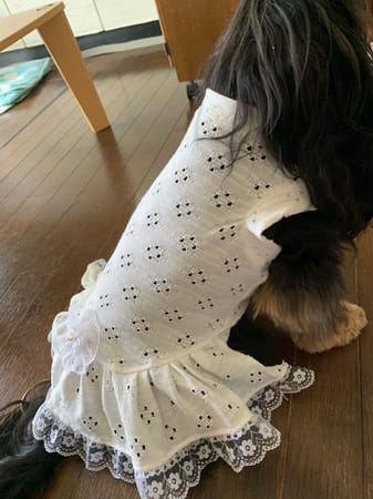 あっちゃんさんの作品