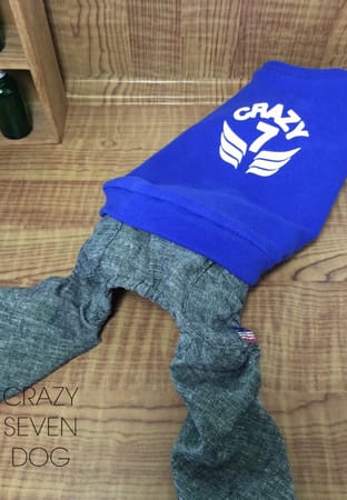 Crazy7さんの作品