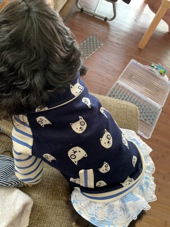 あっちゃんさんの作品