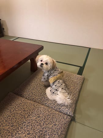 てんちゃんままさんの作品