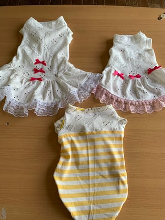 あっちゃんさんの作品