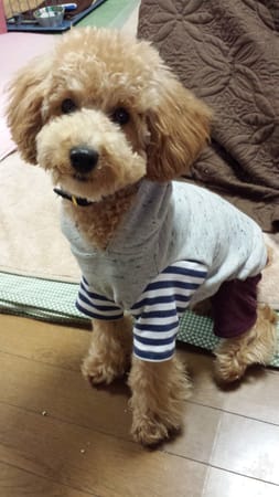 yaaさんの作品