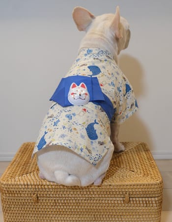 chenmomoさんの作品