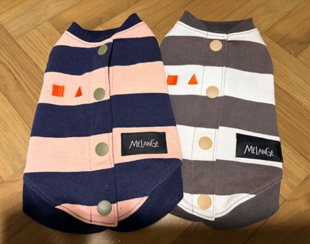 コテちゅさんの作品