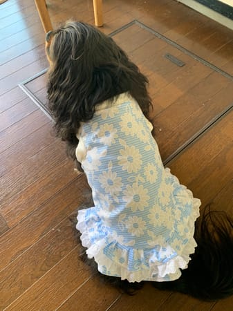 あっちゃんさんの作品