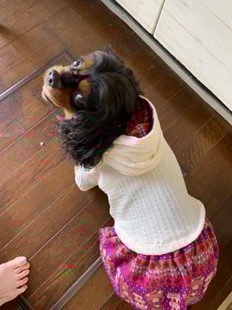 あっちゃんさんの作品