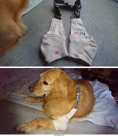 mamさんの首輪・胴輪・リード作品 / 愛犬のための犬服、ペット服の型紙