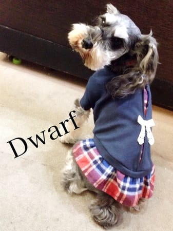 Dwarfさんの作品