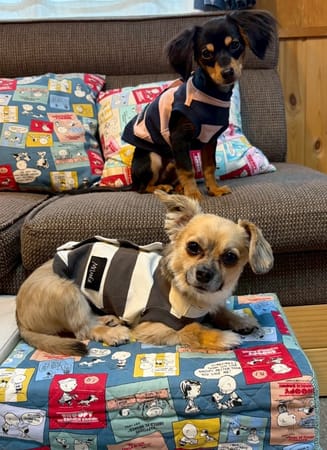 コテちゅさんの作品