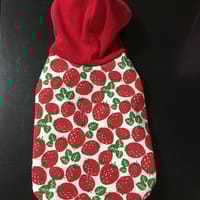 コロンママさんの作品