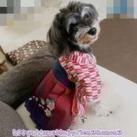 レンかのさんの作品