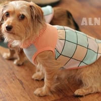 whipwhipさんの作品