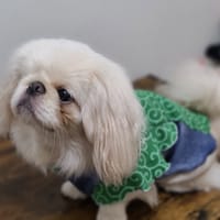 おとしらママさんの作品