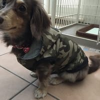 みにくろりんさんの作品