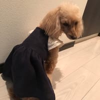 てぃだルナさんの作品