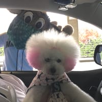 しまのさくらさんの作品