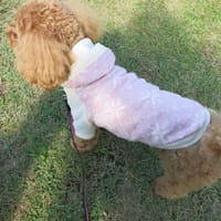 kuuminさんの作品