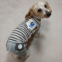 ひなはなさんの作品