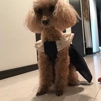 てぃだルナさんの作品