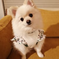 にこママさんの作品