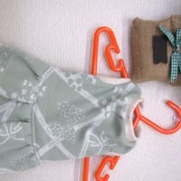 はなぴょんさんの作品