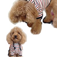 M・trueさんの作品