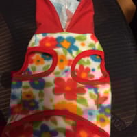 Peanutsさんの作品