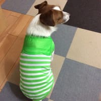 ぶるーしおんさんの作品