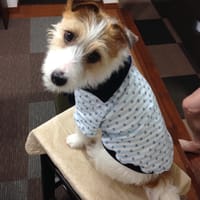 randymikioさんの作品