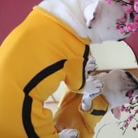 tanamiさんの作品