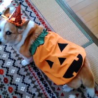 にゃん太さんの作品