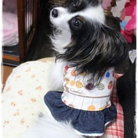 依音さんの作品