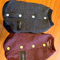 コテちゅさんの作品