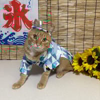 えりさんの作品