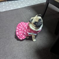 ポ子さんの作品