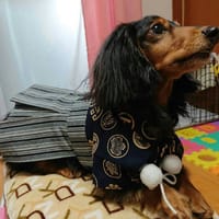 モコさんの作品