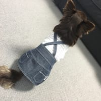 ゆずさんの作品