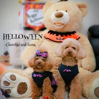 C&L.mamaさんの作品