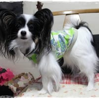 依音さんの作品