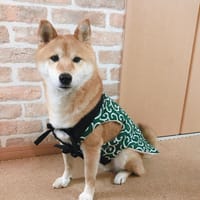 リクピーさんの作品