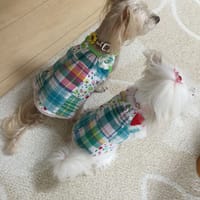 モコさんの作品