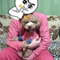 *haru*さんの作品