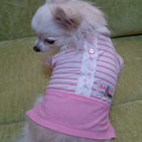 ひめママさんの作品